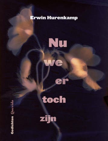 Nu we er toch zijn (9789021477480, Erwin Hurenkamp), Antiek en Kunst, Verzenden
