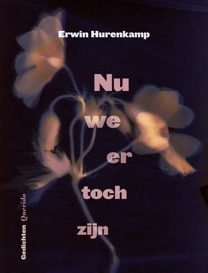 Nu we er toch zijn (9789021477480, Erwin Hurenkamp), Antiek en Kunst, Antiek | Boeken en Manuscripten, Verzenden