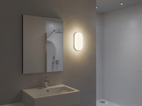 Veiling - 20x 12W 4000K Opbouw LED Panelen ovaal waterdicht, Autos : Pièces & Accessoires, Éclairage