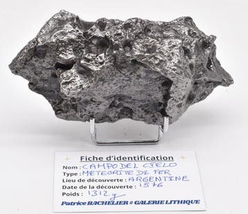 Prachtig Campo del Cielo, buitengewone sculpturale vorm,, Collections