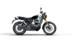 ROYAL ENFIELD Bear 650 Golden Shadow, Motoren, Motoren | Royal Enfield