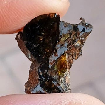 Météorite Admire Pallasites - 2.53 g