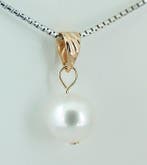 Sans prix de réserve - Pendentif - 18 carats Or jaune Perle, Bijoux, Sacs & Beauté, Bijoux anciens