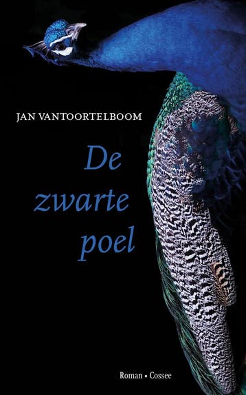 De zwarte poel 9789464522082 Jan Vantoortelboom, Verzenden, Jan Vantoortelboom