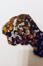 Sericho meteoriet Pallasiet - Hoogte: 60 mm - Breedte: 40 mm, Verzamelen