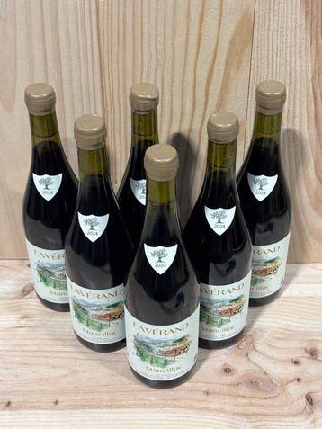 2024 Domaine de Faverand – Marcillac - Rhône - 6 Flessen, Collections, Vins