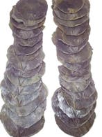 Capiz Camar schelpen Lila 500 gram, Hobby en Vrije tijd, Nieuw