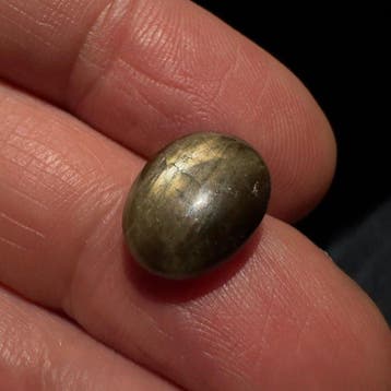 Zonder minimumprijs - 1 pcs Stersaffier - 8.34 ct - Geen