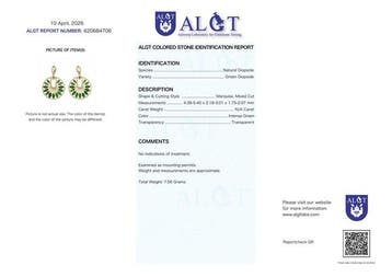 Zonder minimumprijs - Oorbellen Zilver - Diopsiet -, Nieuw