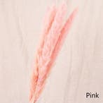 Dried Pampas Fluffy Pink Soft Roze 70 cm