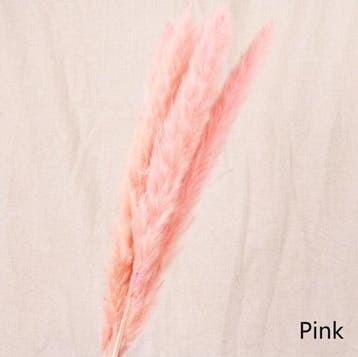 Dried Pampas Fluffy Pink Soft Roze 70 cm, Nieuw