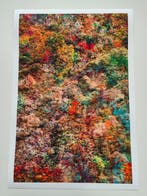 Viet Ha Tran - Wall of Nature LXIV