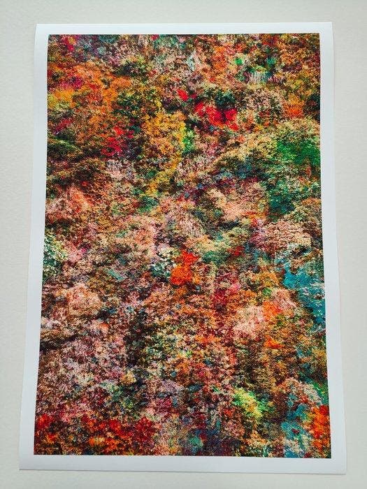 Viet Ha Tran - Wall of Nature LXIV, Antiek en Kunst, Kunst | Designobjecten