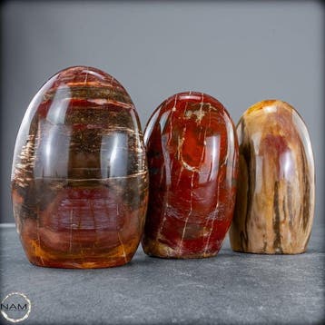Prachtige set van versteend hout – Vrije vormen- 2060.37 g -, Verzamelen