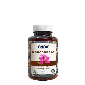 Kanchanar (Kanchanara/Kanug), Ophalen of Verzenden, Nieuw