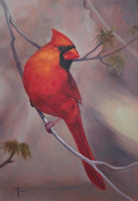 Luis Enrique González - Cardinalis Cardinalis, Antiek en Kunst, Kunst | Designobjecten