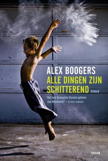 Alle dingen zijn schitterend 9789057595387 Alex Boogers, Verzenden, Gelezen, Alex Boogers