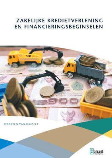 Zakelijke kredietverlening en financieringsbeginselen, Boeken, Verzenden, Zo goed als nieuw, Maarten van Hasselt