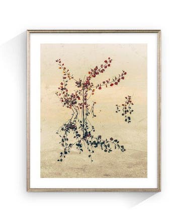Jorge Omeñaca - Nebula Flora, Antiek en Kunst