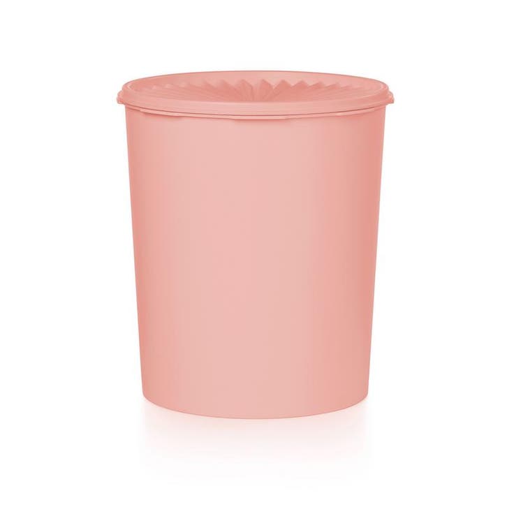 Tupperware Vintage Voorraadbus Roze, Maison & Meubles, Cuisine| Tupperware, Envoi