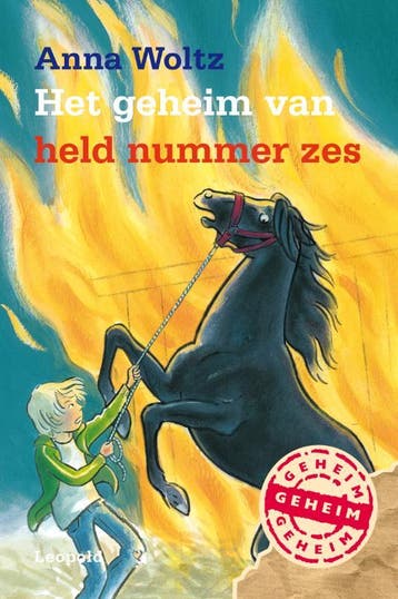 Het geheim van held nummer zes / Het geheim van Anna Woltz, Verzenden, Anna Woltz