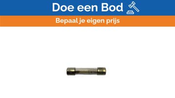Bieden: Bussmann MDL 1/2 Glass Fuse 0.5A Slow-Moving 5x25mm, Ophalen of Verzenden, Nieuw