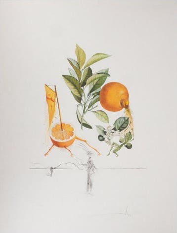 Salvador Dali (1904-1989) - Flordali : Pamplemousse érotique