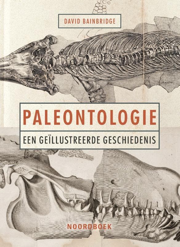 Paleontologie | David Bainbridge | Nieuw, Boeken, Overige Boeken, Nieuw, Verzenden