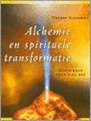 Alchemie en spirituele transformatie 9789020283303, Boeken, Verzenden, Gelezen, C. Gilchrist