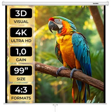 HDTV Beamer scherm - 178 x 178 cm, Verzenden, Nieuw