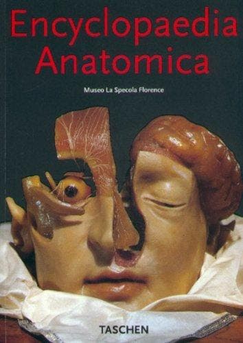 ENCYCLOPAEDIA ANATOMICA 9783822876138 Monika Von During, Verzenden, Gelezen, Monika Von During