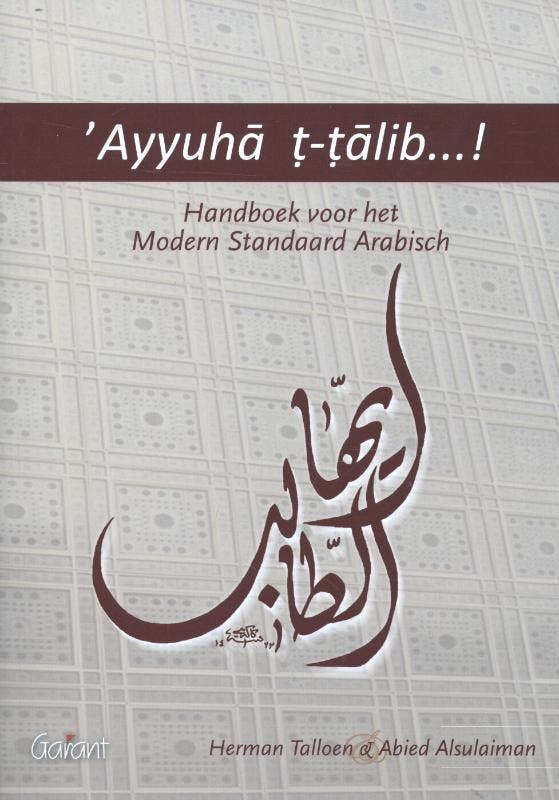 Ayyuha t-talib ... ! 9789044129854 Herman Talloen, Boeken, Overige Boeken, Zo goed als nieuw, Verzenden
