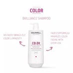 Goldwell Dualsenses Color Brilliance Shampoo, Handtassen en Accessoires, Uiterlijk | Haarverzorging, Verzenden, Nieuw, Shampoo of Conditioner
