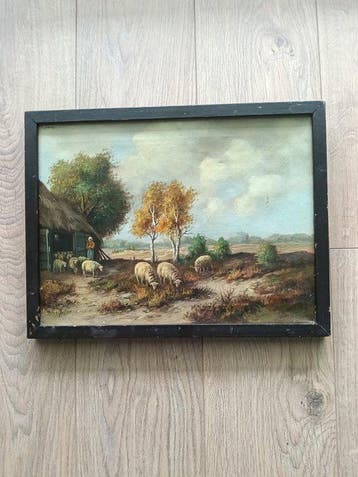 Anton Muller (1887-1979) - Schapen op de heide
