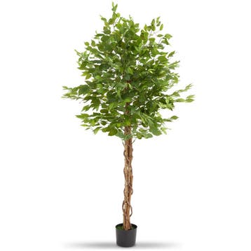 Kunst ficusboom Fida, realistische textuur - 180 cm, Verzenden