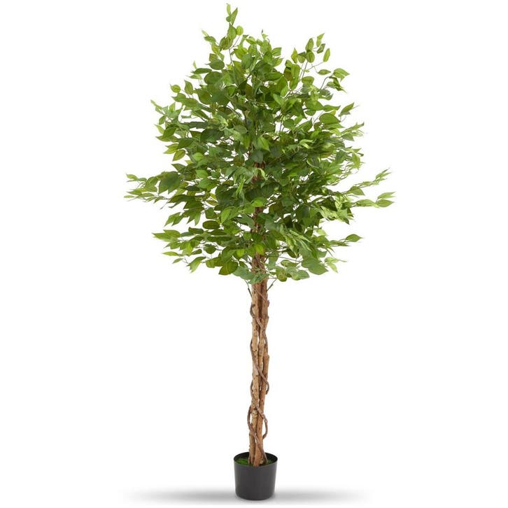 Kunst ficusboom Fida, realistische textuur - 180 cm, Huis en Inrichting, Kamerplanten, Verzenden