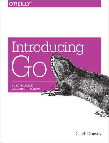Introducing Go 9781491941959 Caleb Doxsey, Verzenden, Zo goed als nieuw, Caleb Doxsey