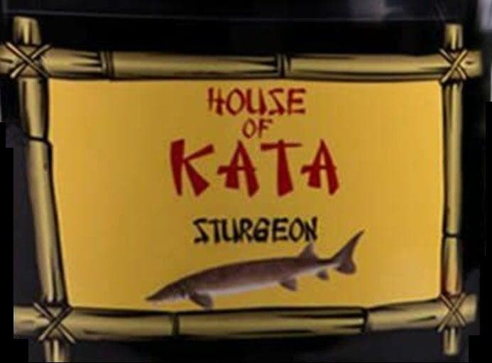House of Kata Sturgeon 20 liter steurvoer (Koivoer), Tuin en Terras, Vijver-toebehoren, Overige typen, Nieuw, Verzenden