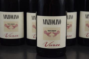 2013 Tenuta Mazzolino, Bonarda Vivace - Oltrepò Pavese DOC