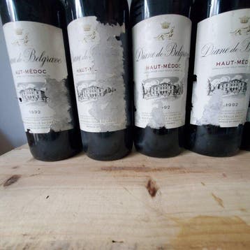 1992 Diane de Belgrave - Haut-Médoc - 6 Bouteilles (0,75 L), Verzamelen, Wijnen, Nieuw