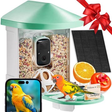 Slimme vogelvoederbak AI | Retour deal | Sla je slag, Jardin & Terrasse, Maisons & Bains d'oiseaux, Verzenden
