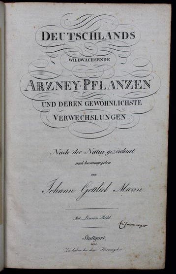 Johann Gottlieb Mann - Deutschlands wildwachsende