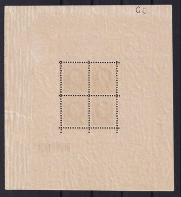 Belgique 1924 - Blok Montenez - POSTFRIS - OBP/COB BL1