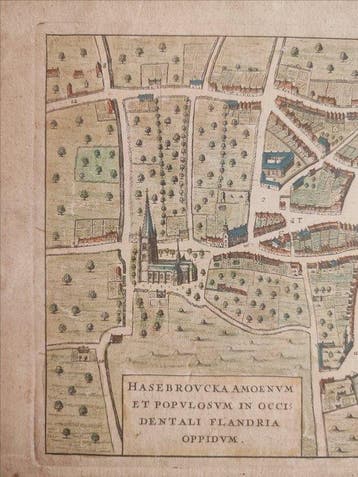 België - Hazebrouck (West-Vlaanderen); Vedastus du Plouich -, Boeken, Nieuw