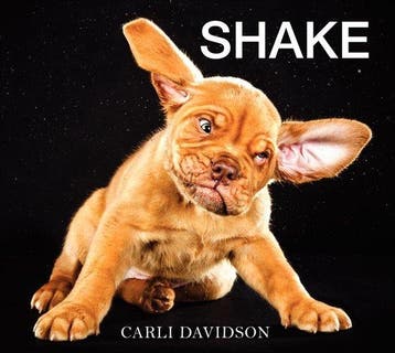 SHAKE 9780062242648 Carli Davidson, Verzenden, Carli Davidson