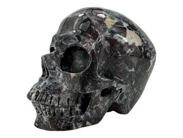 Kippenbloed-schedel Gesneden schedel - - - 9.5 cm - 8.5 cm -, Antiek en Kunst