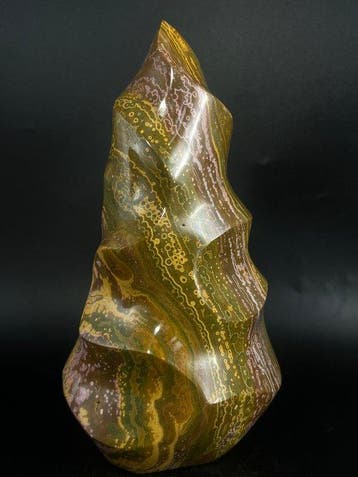 ***SANS RÉSERVE*** Ocean Jasper Flame – Teintes terre dorées