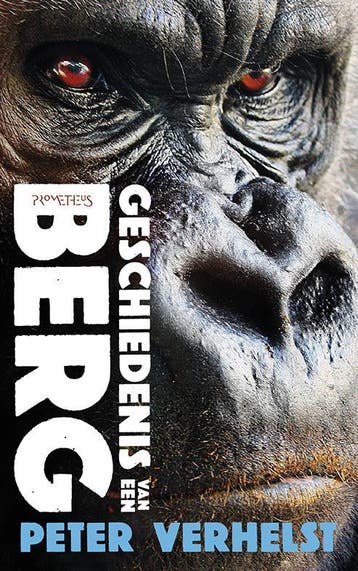 Geschiedenis van een berg 9789044627039 Peter Verhelst, Verzenden, Peter Verhelst