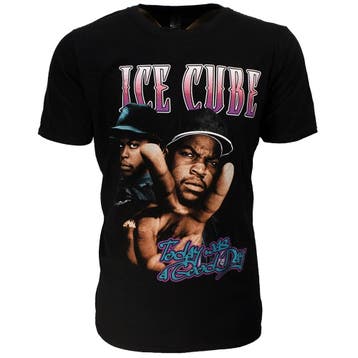 Ice Cube Today Was A Good Day T-Shirt, Kleding | Heren, Nieuw