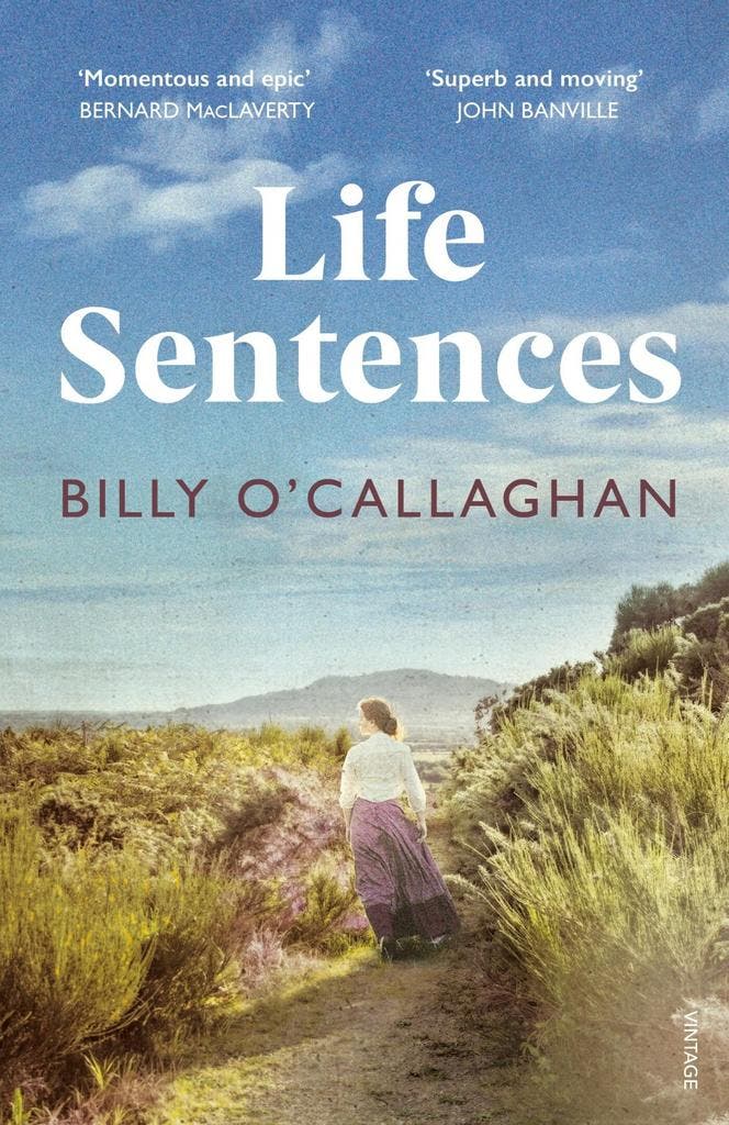 Life Sentences 9781529112962 Billy OCallaghan, Boeken, Taal | Engels, Gelezen, Verzenden
